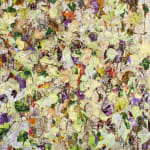 Susan Swartz, Evolution of Nature 6, 2020