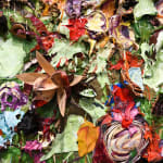 Susan Swartz, Evolution of Nature 24, 2022