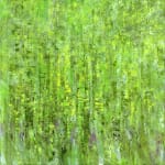 Susan Swartz, Pistachio Day, 2008