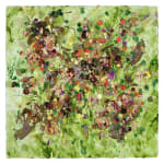 Susan Swartz, Evolution of Nature 26, 2022