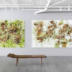 Susan Swartz, Evolution of Nature 26, 2022