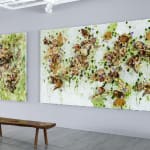 Susan Swartz, Evolution of Nature 25, 2022