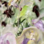 Susan Swartz, Evolution of Nature 6, 2020