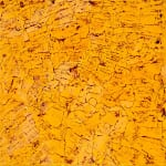 Susan Swartz, NZ Fragmented 6, 2016