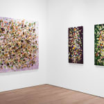 Susan Swartz, Evolution of Nature 18, 2021