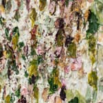 Susan Swartz, Evolution of Nature 6, 2020