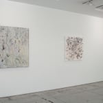 Susan Swartz, Evolution of Nature 22, 2021