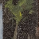 Almaha Jaralla, Untitled, 2022
