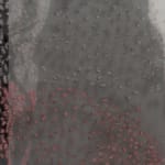 Hana Almilli, I told my dreams to come, and so they came, 2018