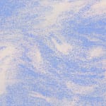 Ziad Al Najjar, Blue Jay, 2024
