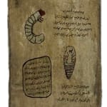 Mohamed Monaiseer, Dictionary #63, 2014