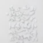 Miramar Al Nayyar, The Language of Movement and the Movement of Language #1, 2025