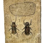 Mohamed Monaiseer, Dictionary #63, 2014