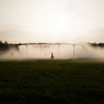 Image of Fog assembly.