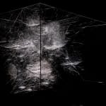 tomas saraceno spider box