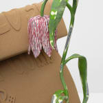 Image of What Grows (2704).