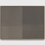 lisa oppenheim celluloid photo