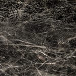 Tomas Saraceno spider box