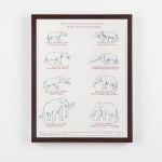 Image of Dion drawing of animals
