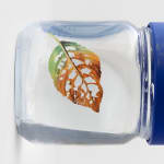 Image of Image of Clementine (Portal).