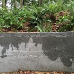 Image of Gupta's Site Specific work in Sonsbeek Park, Arnhem.