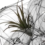 tomas saraceno hanging sculpture with plants