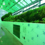 image of dion vivarium