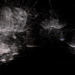 tomas saraceno spider box