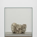 Image of Double Clayhead on Concrete Floor