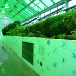 image of dion vivarium