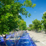 Image of The Wishes Boulevard