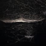 tomas saraceno spider box