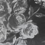 Image of Oppenheim's photograph