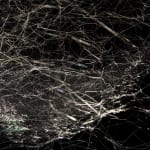 Tomas Saraceno spider box