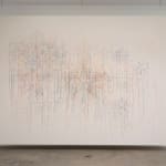 Shilpa Gupta Stars on Flags of the World, July 2011 2012-2023