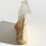 Kelly Akashi's glass sculpture
