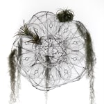 tomas saraceno hanging sculpture with plants