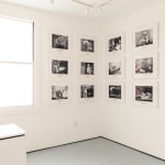 Image of Mark Dion, Mrs. Christopher's House..