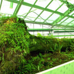 image of dion vivarium