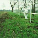 Image of Fence 1999 - Stockholm, Sweden.
