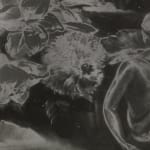 Image of Dekorative Vase mit Blumen gefüllt, 1942/2022 (Version I)