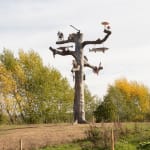 Image of Mark Dion Tree of Life