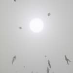 Image of Free the Air.