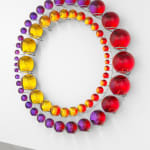 Image of Successful coexistence beyond earth.