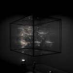 tomas saraceno spider box