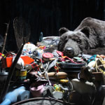 Image of Den.