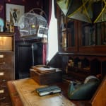 Image of Mark Dion, Mrs. Christopher's House..