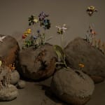 Image of The Stone Garden.