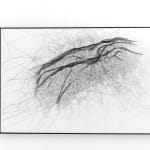 Image of Handwoven spider map
