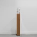 Shilpa Gupta Untitled